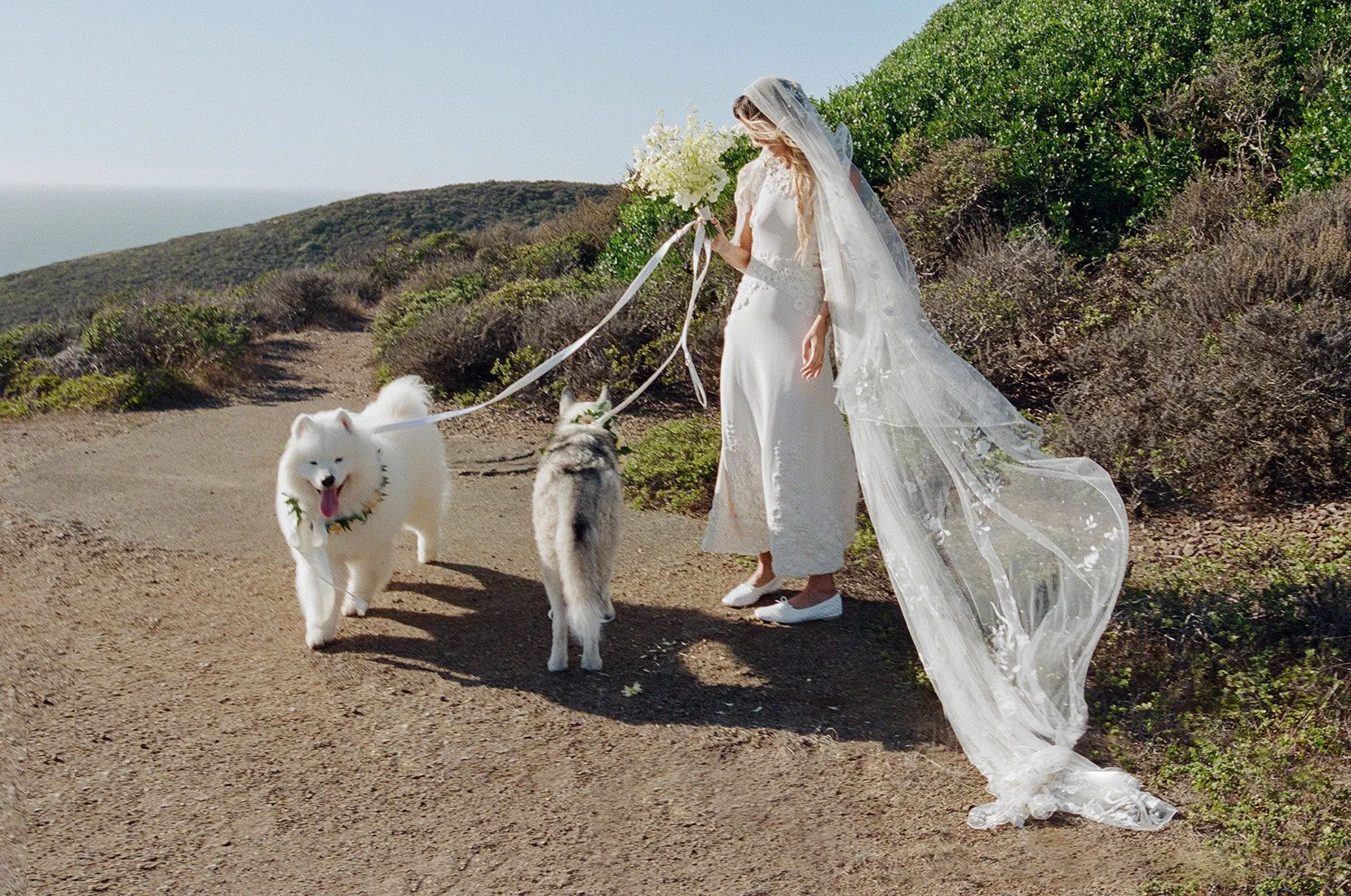 Mill Valley, California - 2025