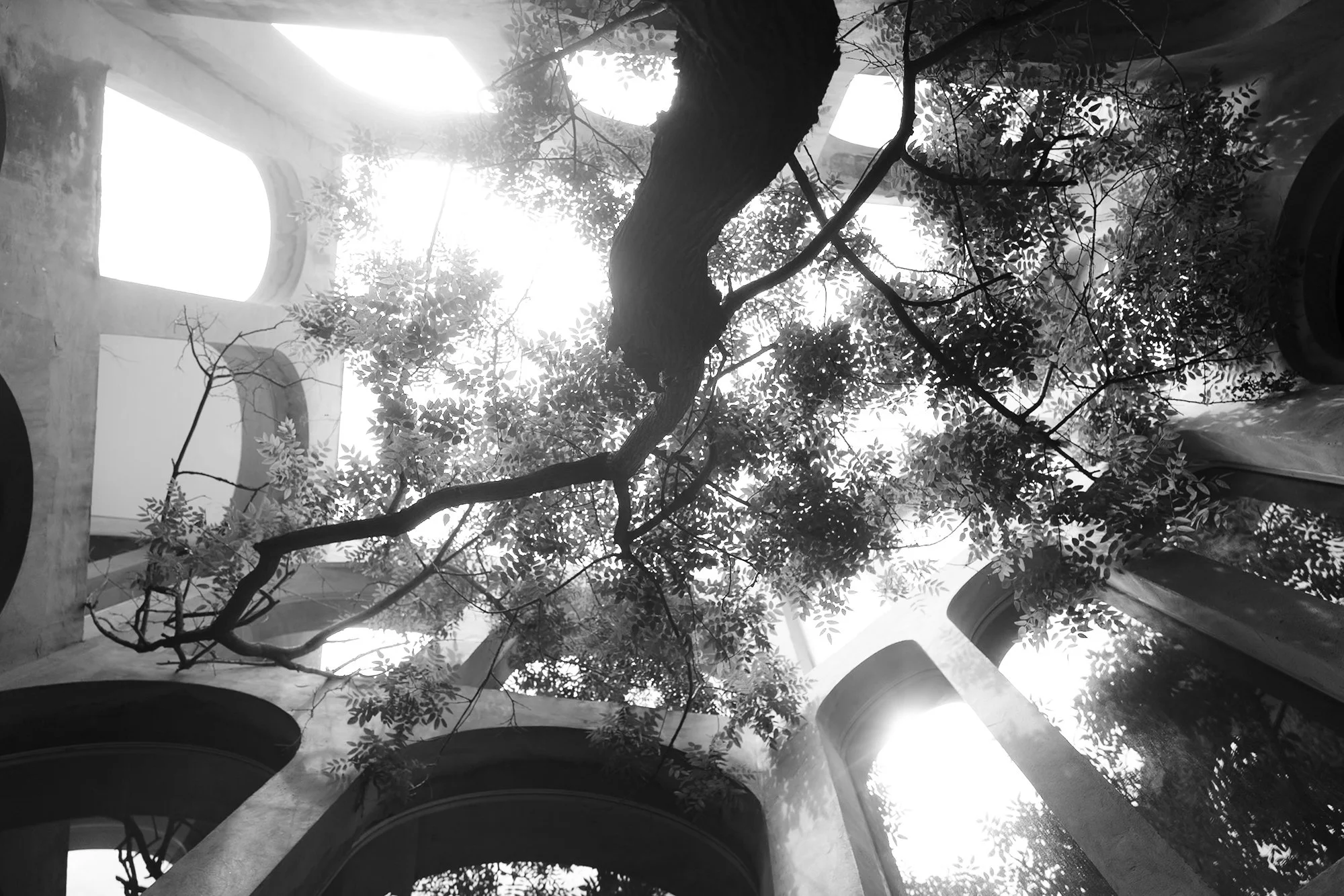 Tejasvir_Counterpart Photos_09.jpg