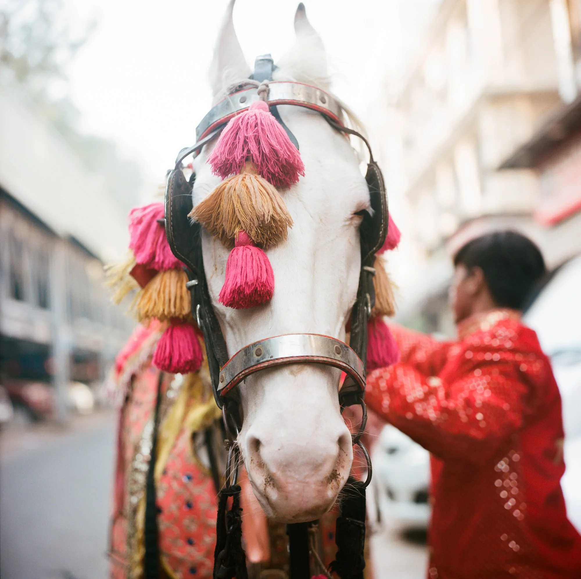 Tejasvir_Counterpart Photos_22.jpg