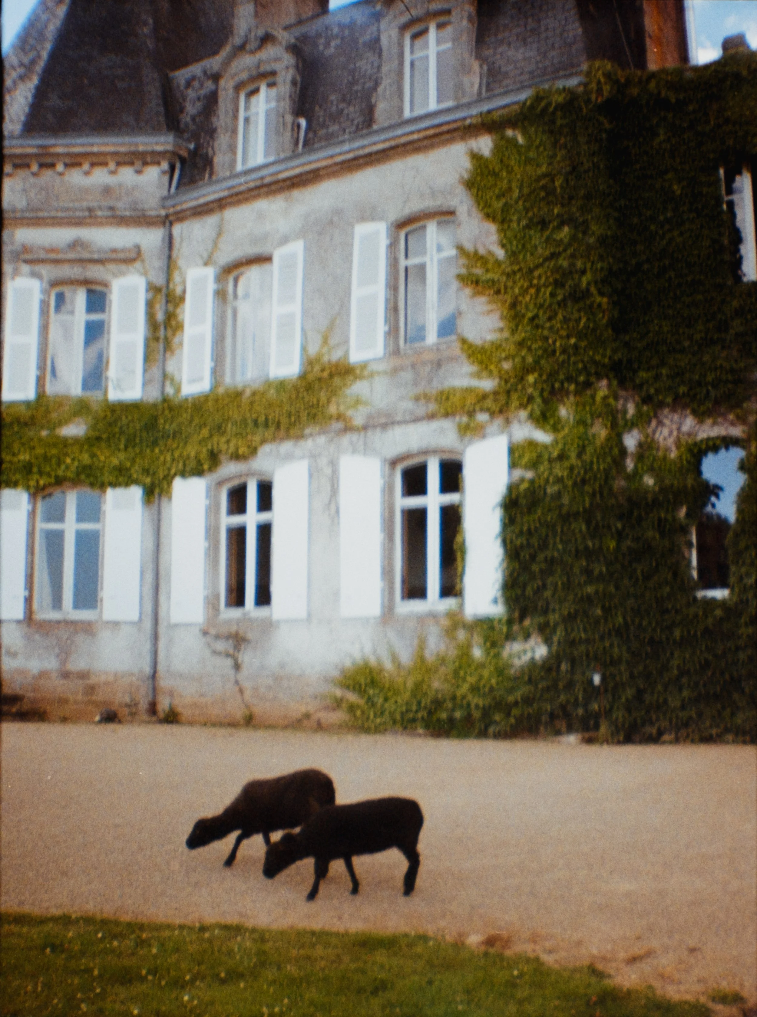 Norwud_Counterpart Photos_31.jpg