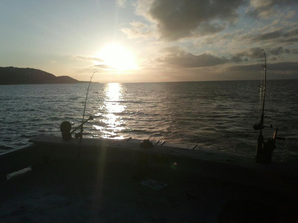 fishing rods.jpg