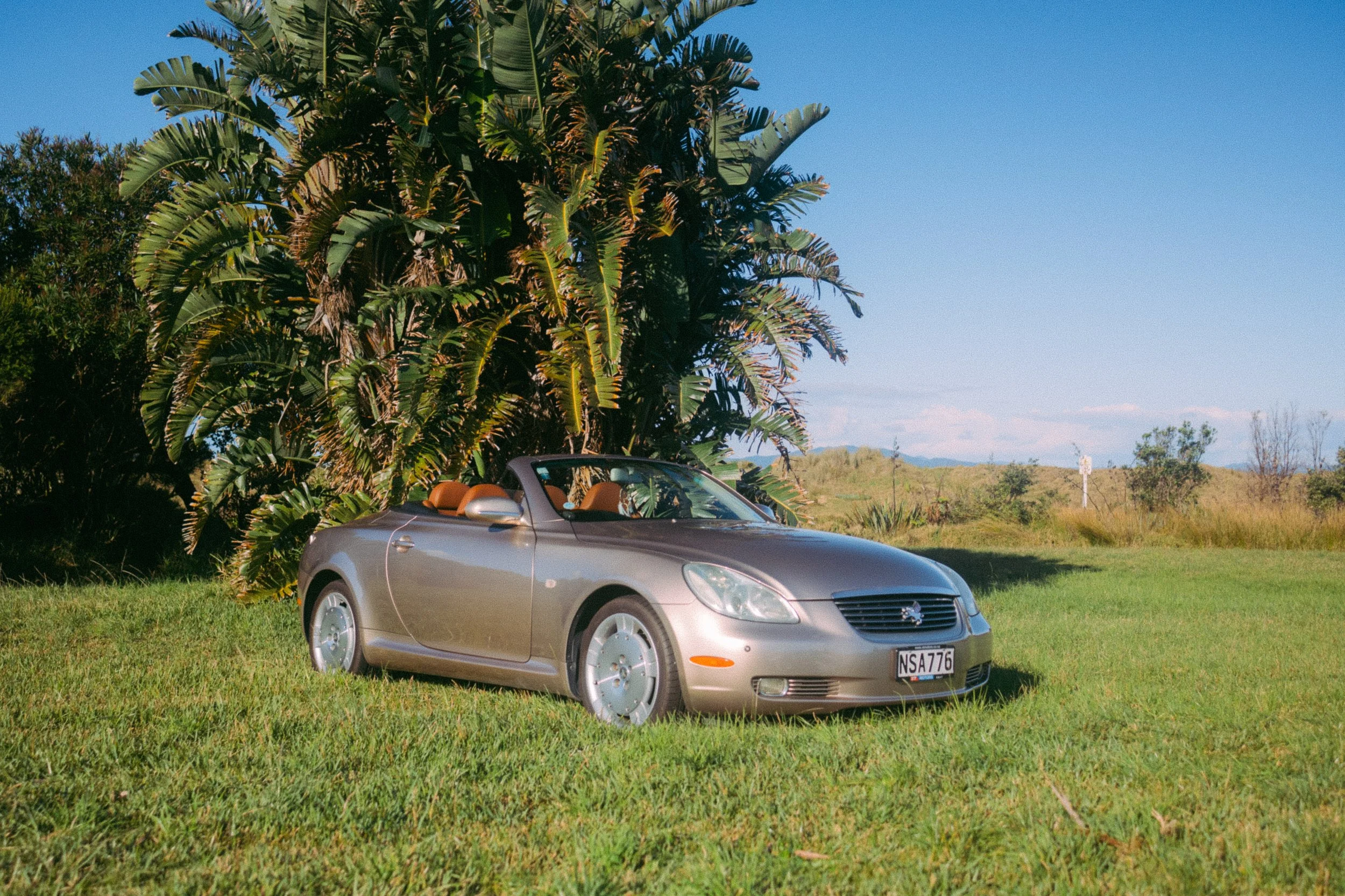 Convertible car parked on grass near tall tropical plants.