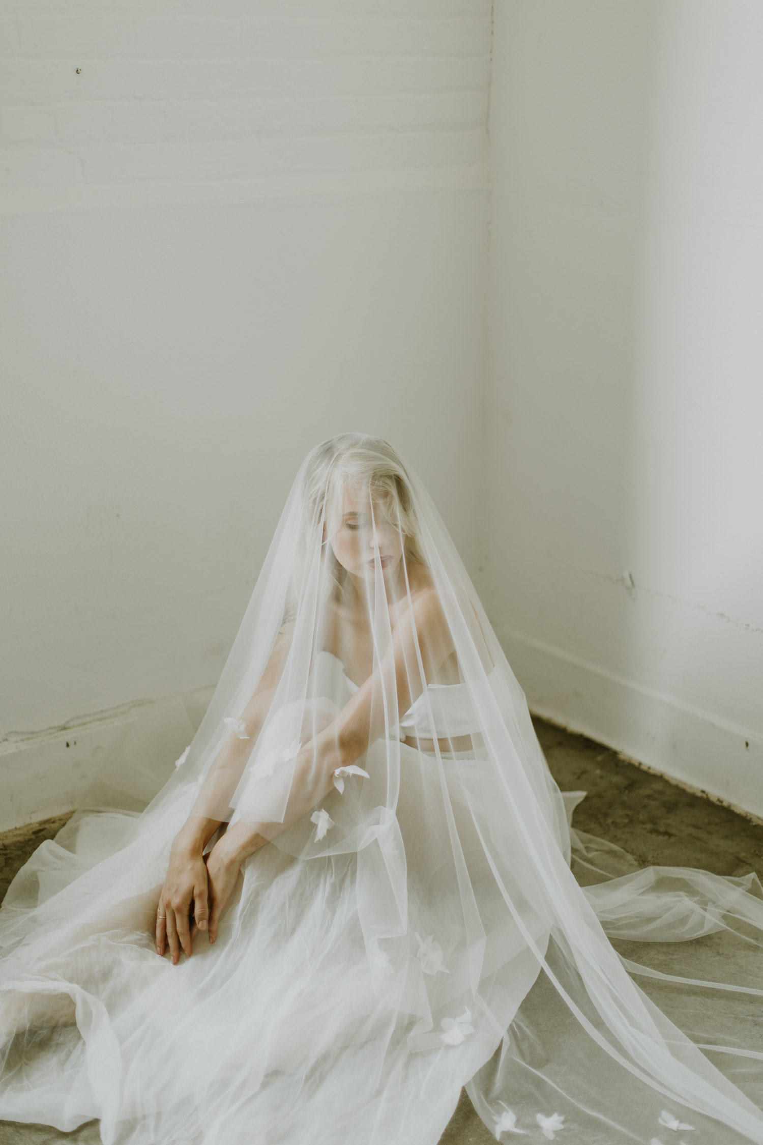 Cathedral Length Wedding Veil by A.B. Ellie