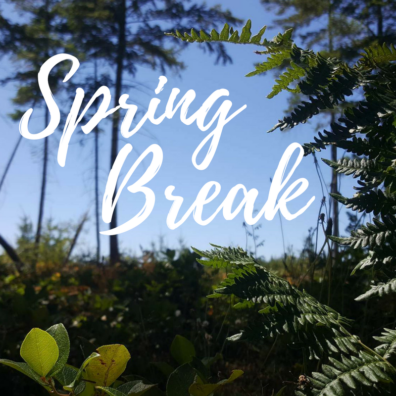 Spring Break.png