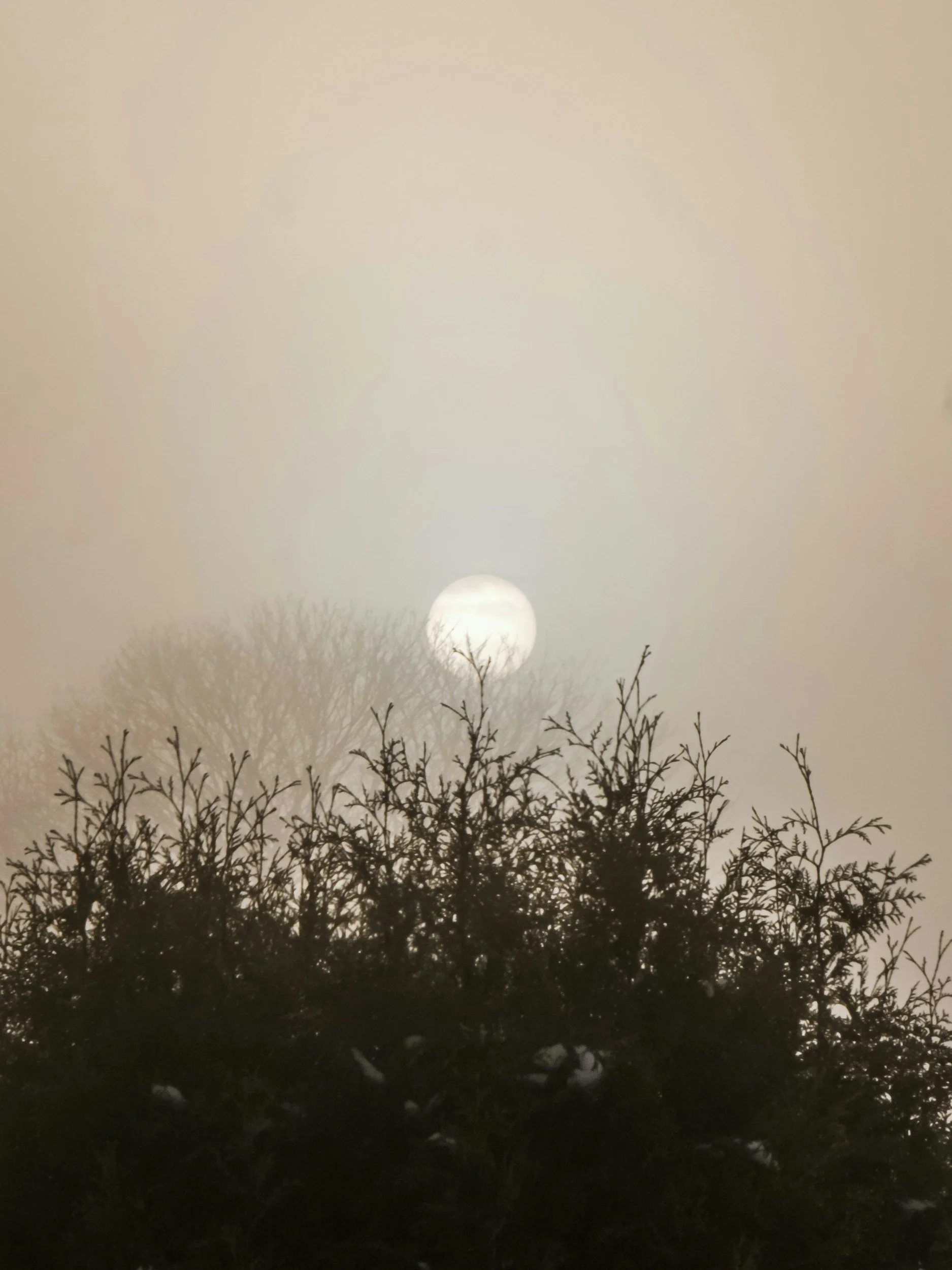 Winter Solstice Song Ceremony