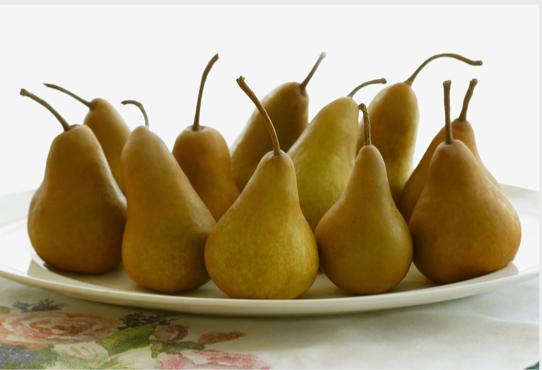 _MG_0904 Pears Tea towel ScarfWebZZC 26.3.18 copy.jpg