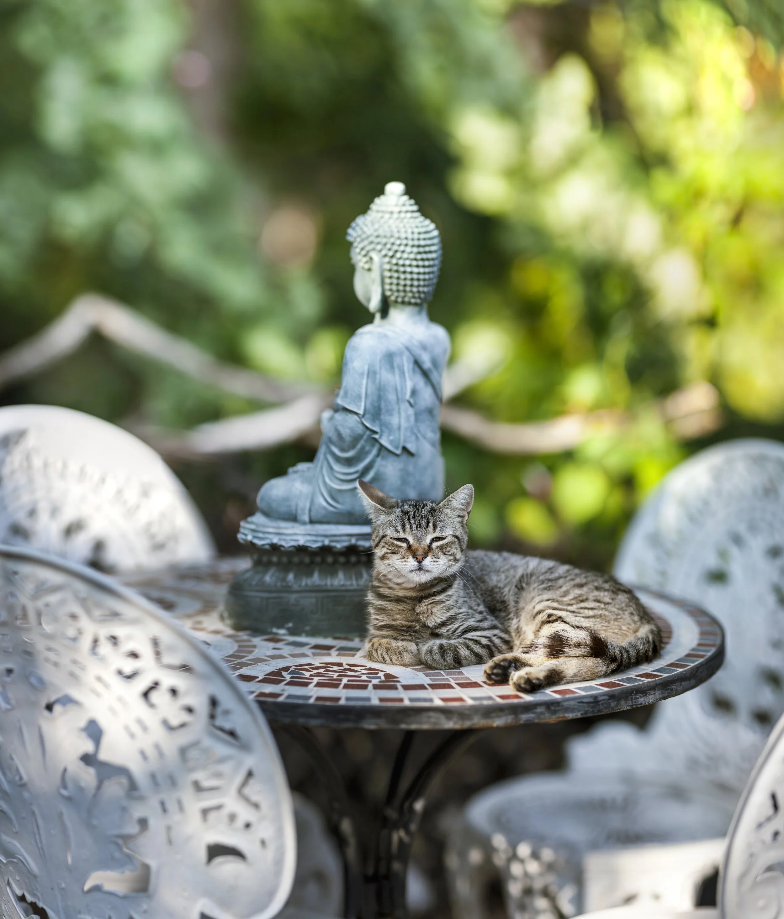 Breath meditation to bring balance