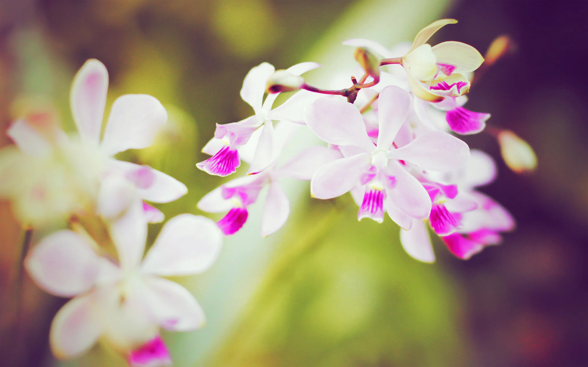 Short breath meditation to calm and centre you