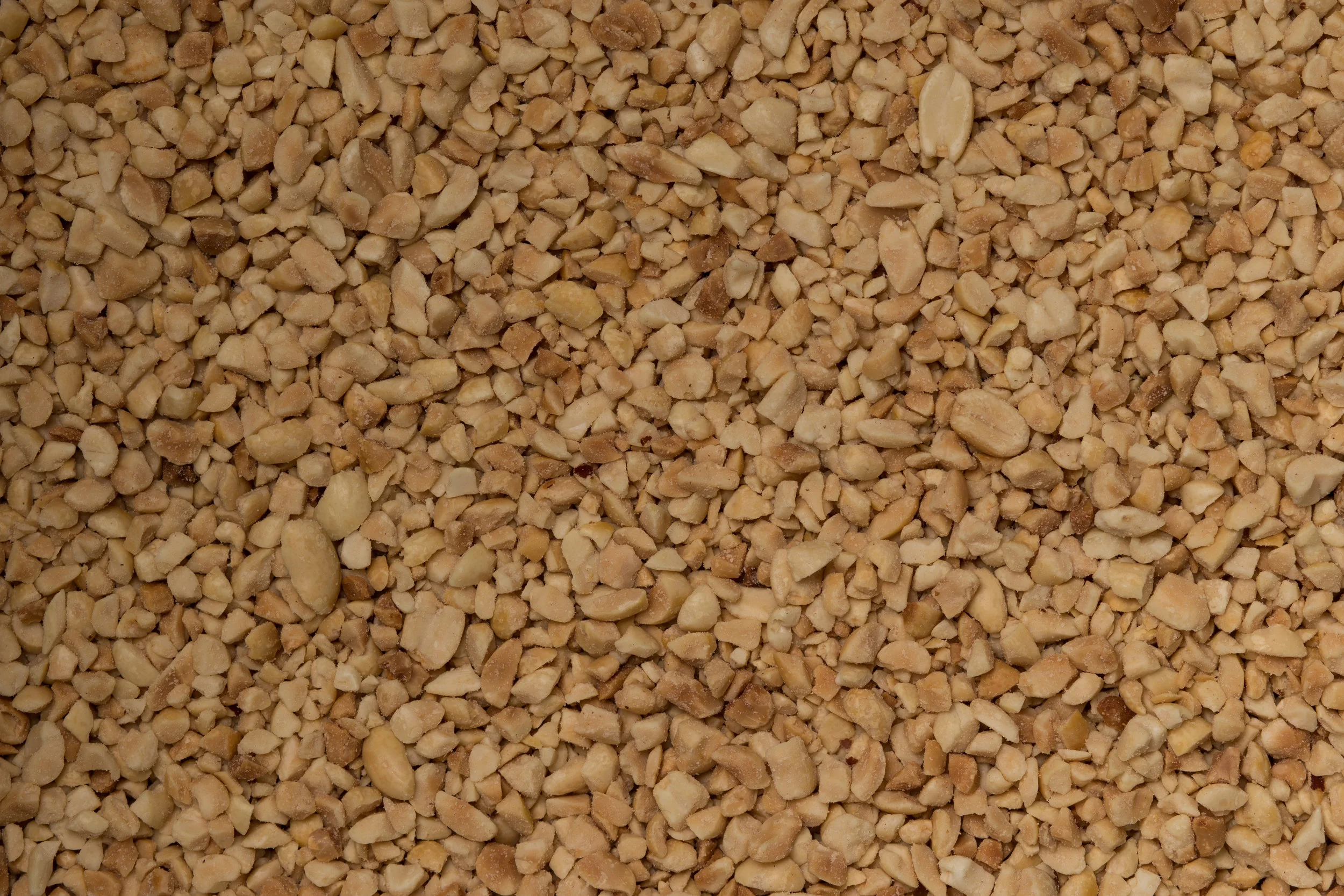 2N1A5980.jpg
