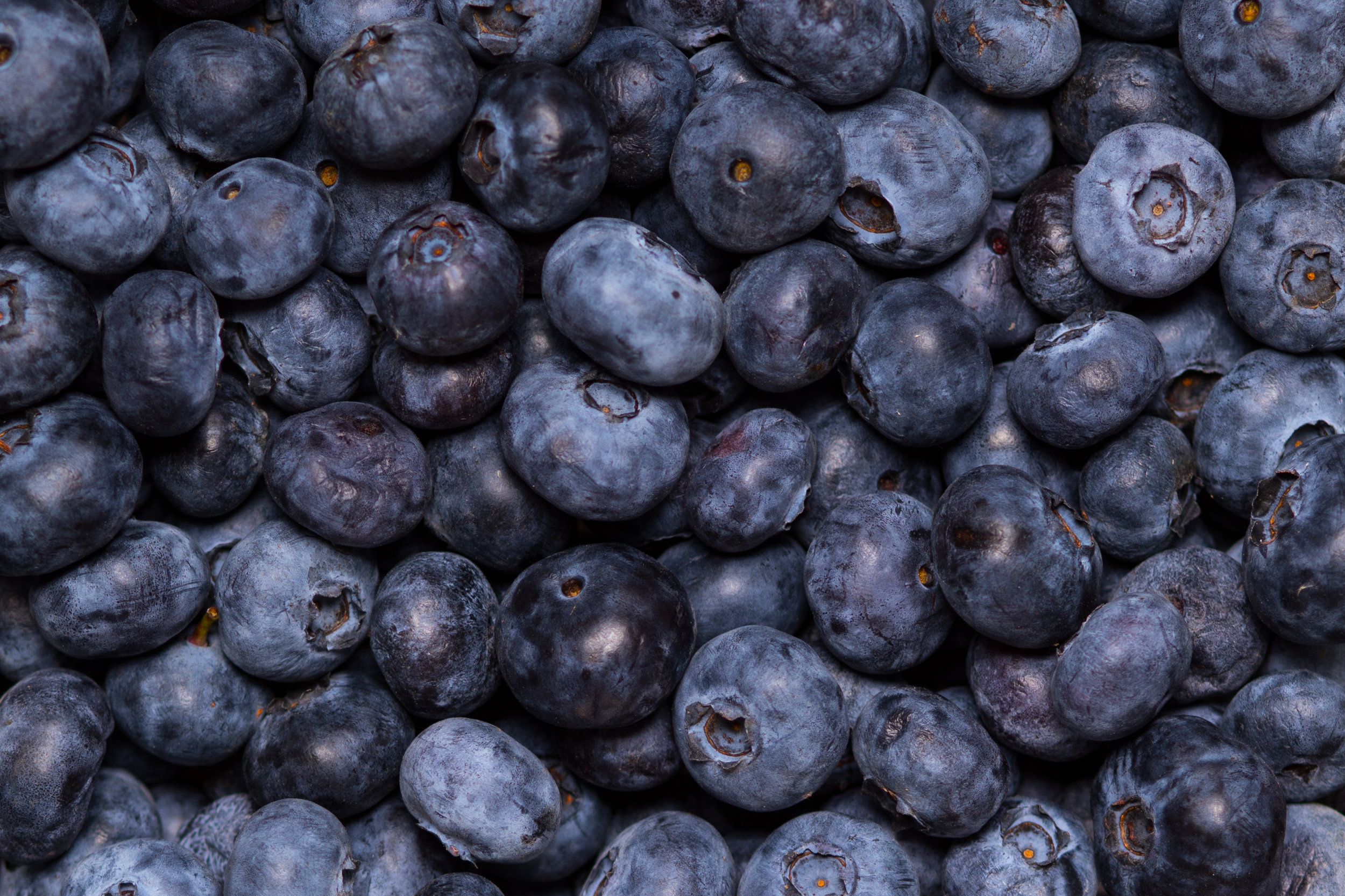 Blueberries