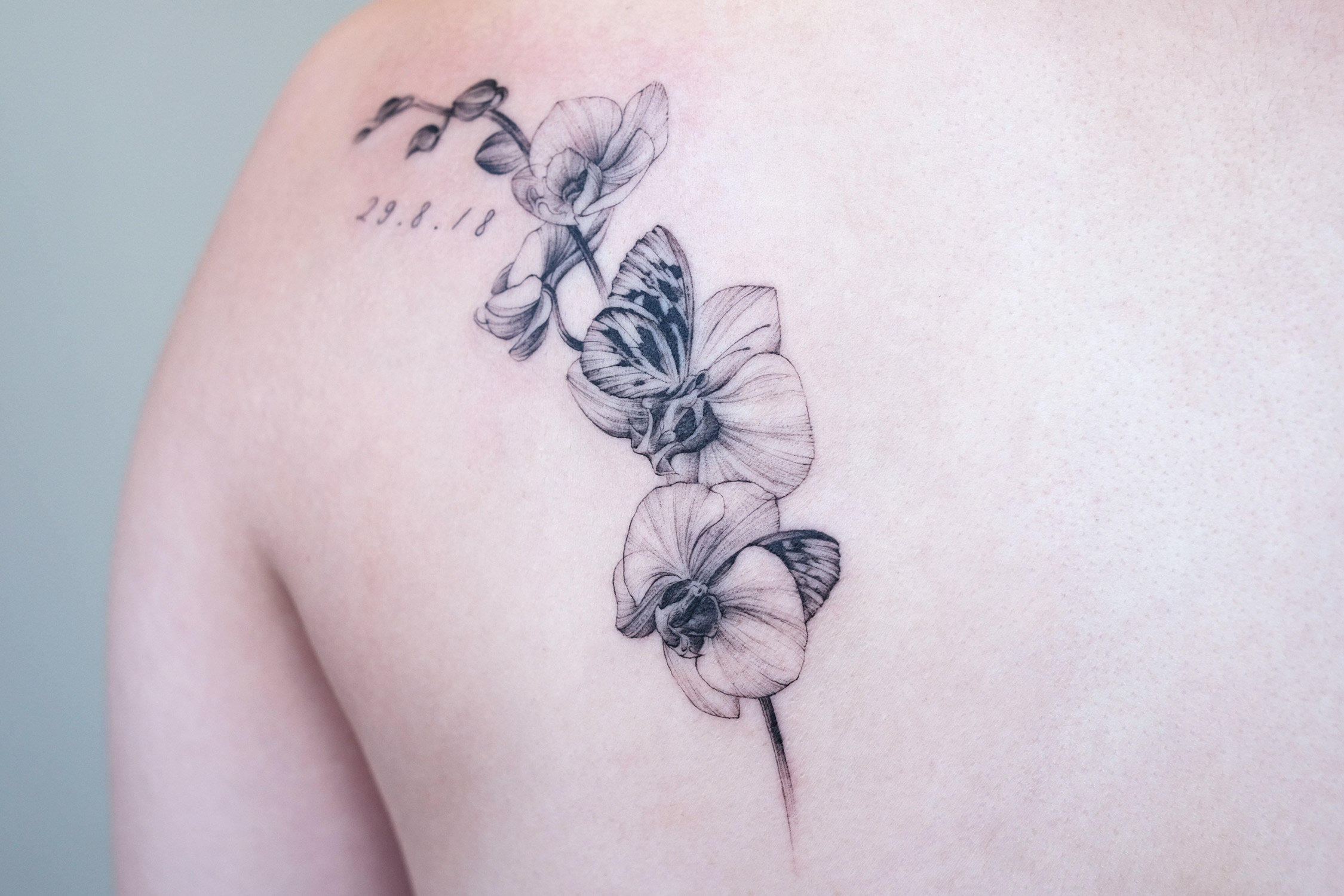 melt the lady moth orchid tattoo tops-