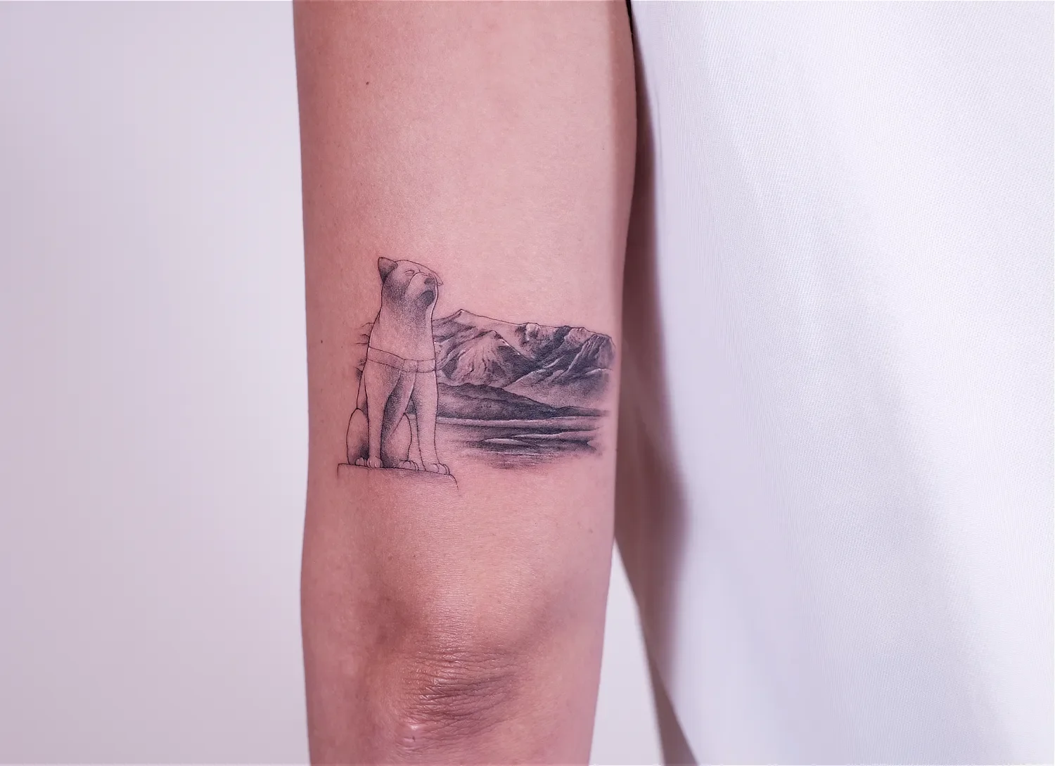 fineline-tattoo-hachiko5.webp