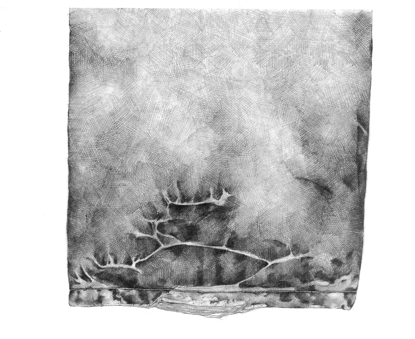 Illusion-printed-jeans4.webp