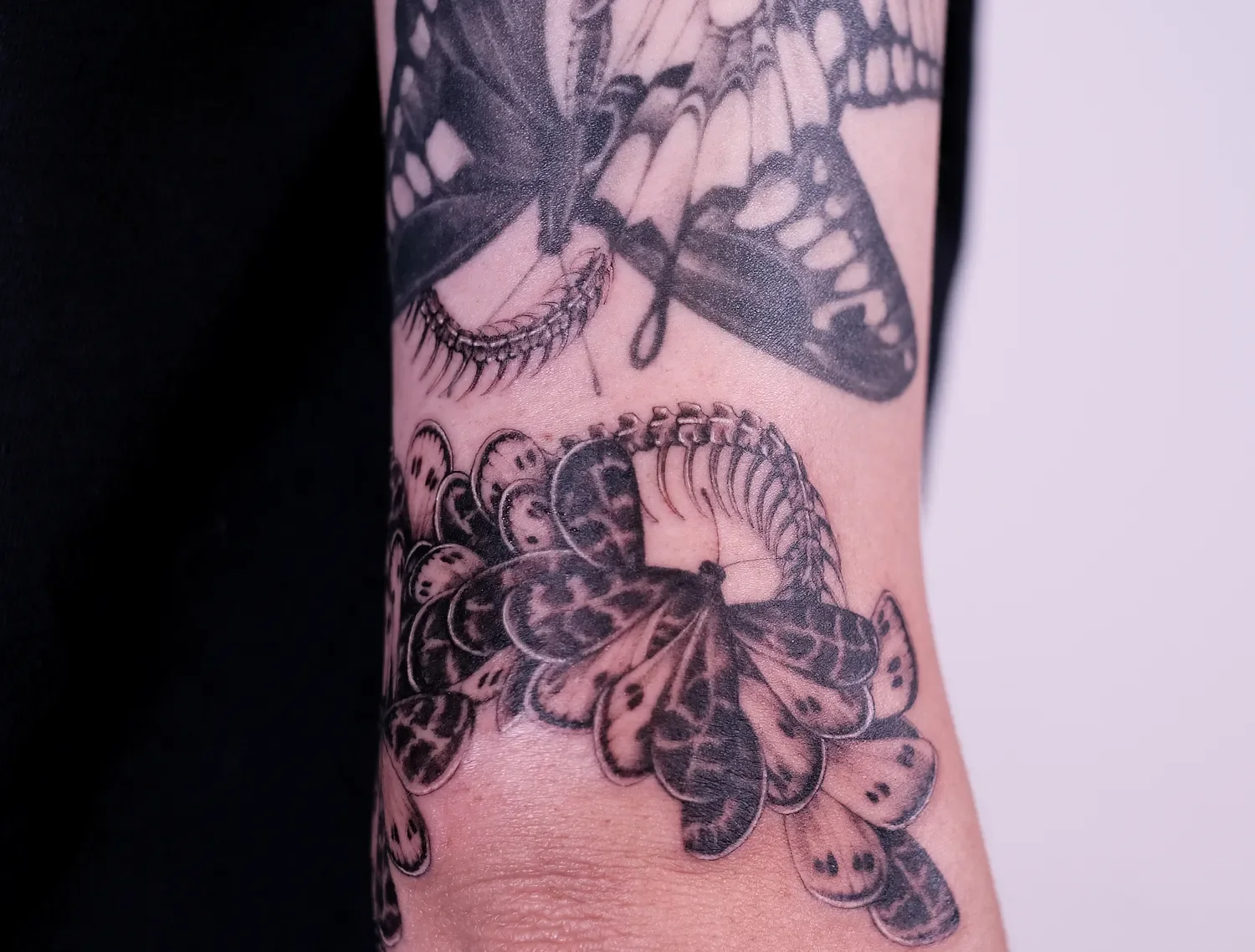 fineline-tattoo-snakes-skeleton8.webp