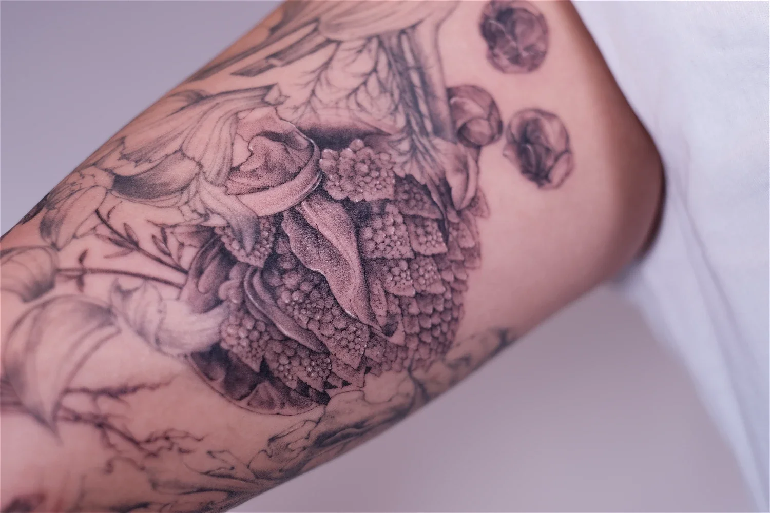 fineline-tattoo-vegetables8.webp