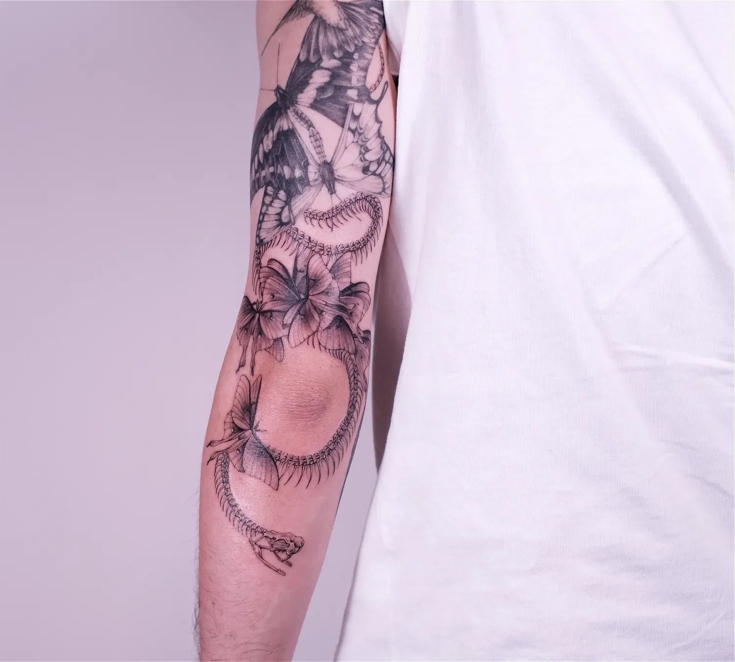 fineline-tattoo-snakes-skeleton1.webp