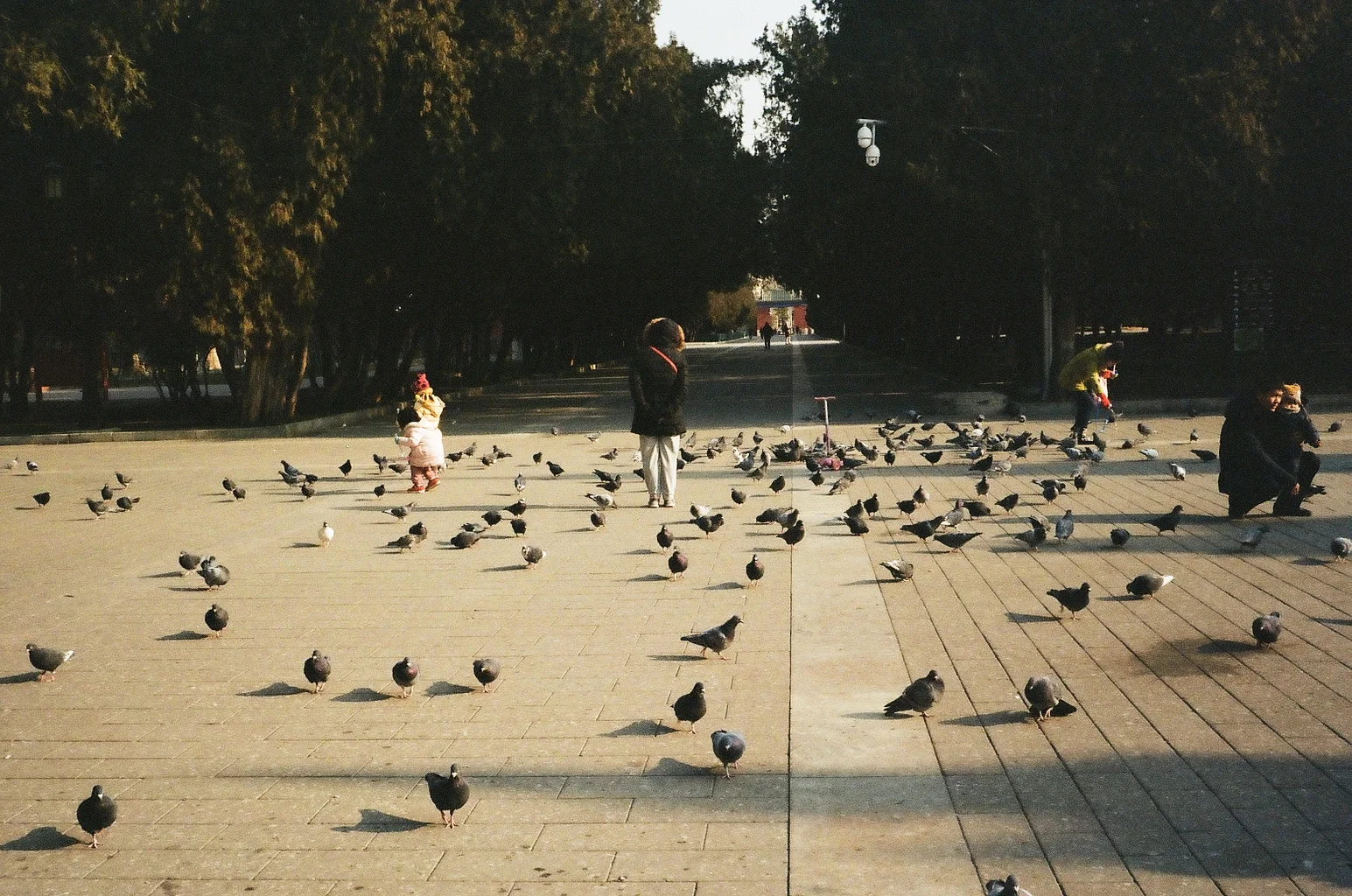 地坛、北京, 35mm, Olympus Trip 35, Kodak ColourPlus 200