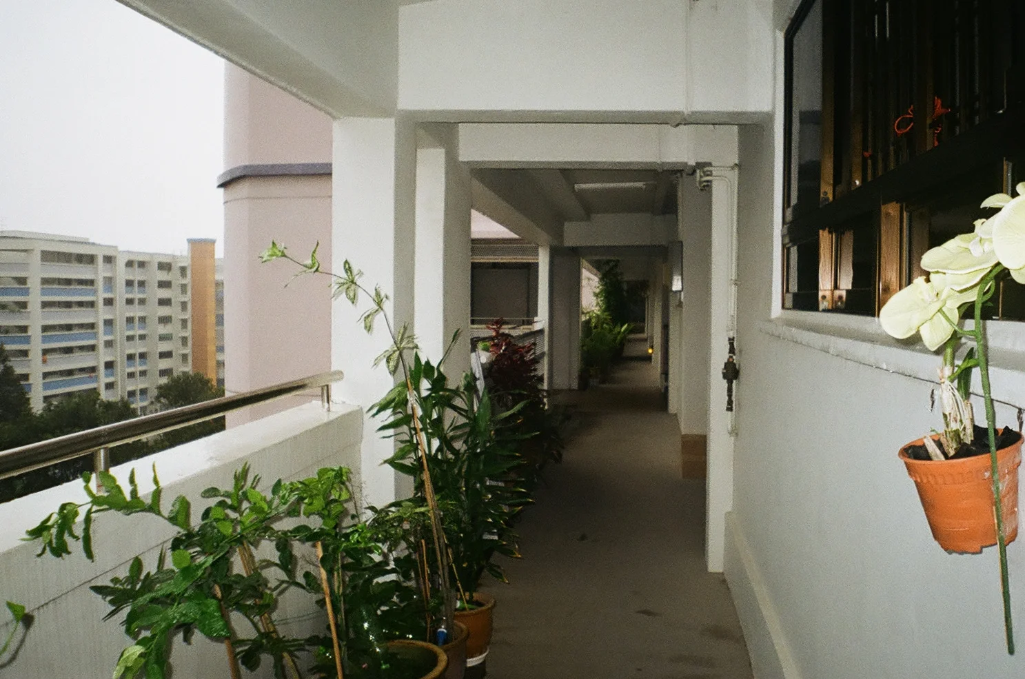 Tampines, 35mm, F35 ST Big Finder, Kodak ColourPlus 200