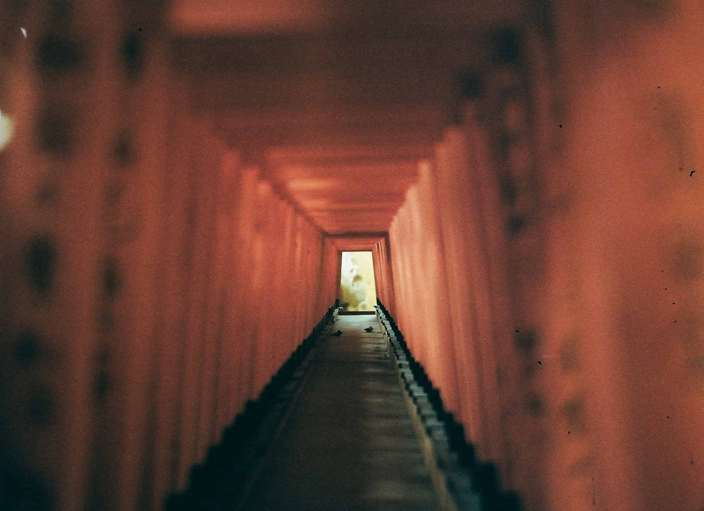天満宮、 大阪,35mm, Olympus Trip 35, Kodak ColourPlus 200