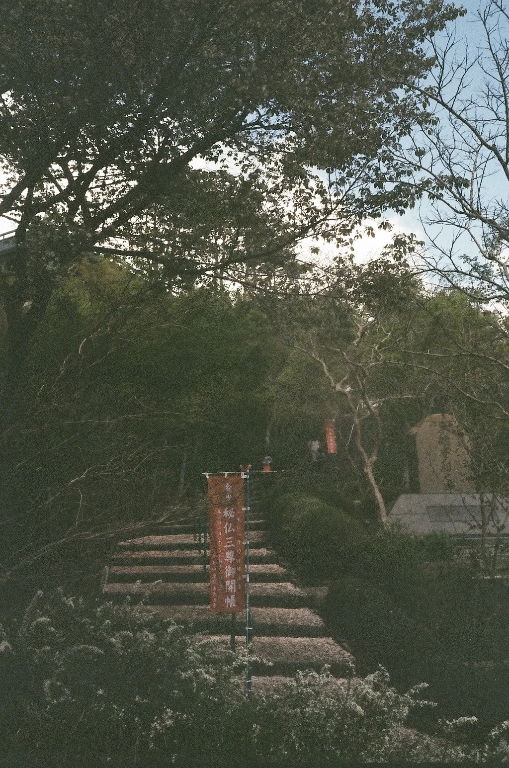 摩耶山、神戸,35mm, Olympus Trip 35, Kodak ColourPlus 200