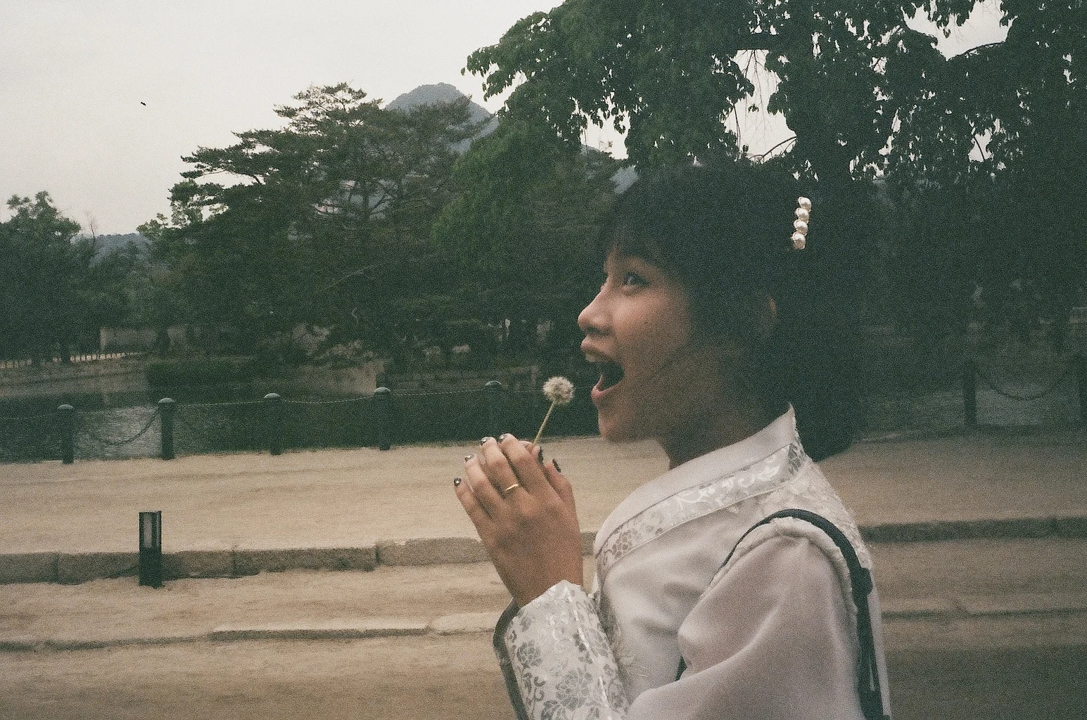 경복궁, 35mm, Olympus Trip 35, Kodak ColourPlus 200