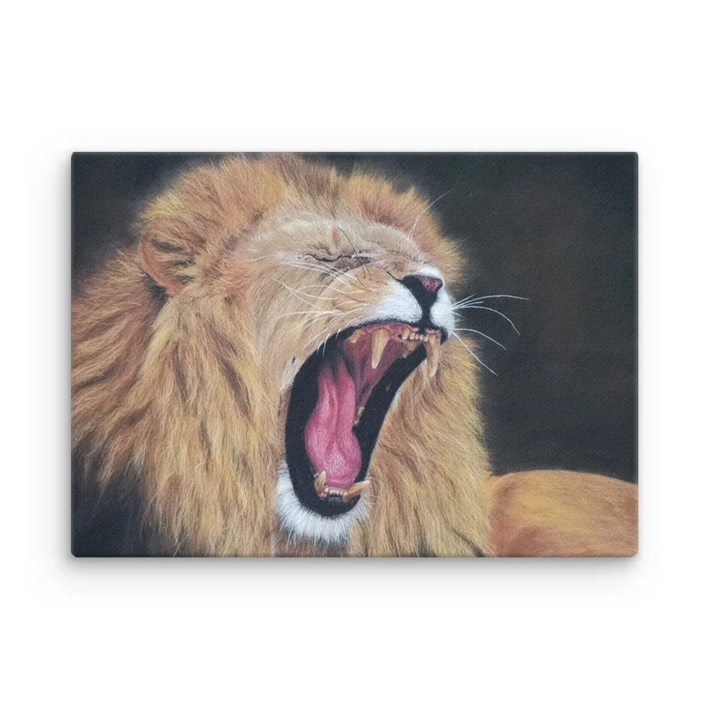 thin-canvas-(in)-20x28-front-6931b953d1d9a.jpg
