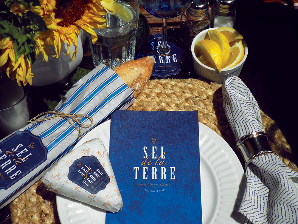 Sel De La Terre Project.png