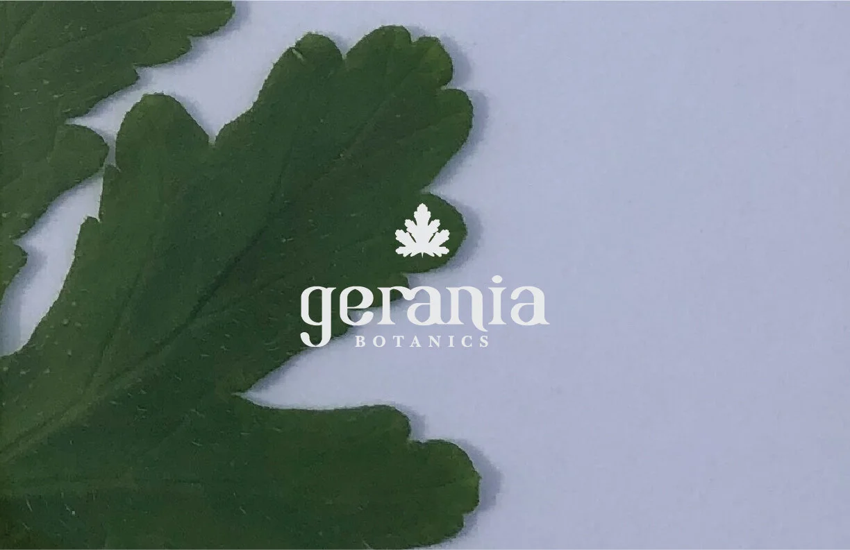 Gerania 1-09.jpg