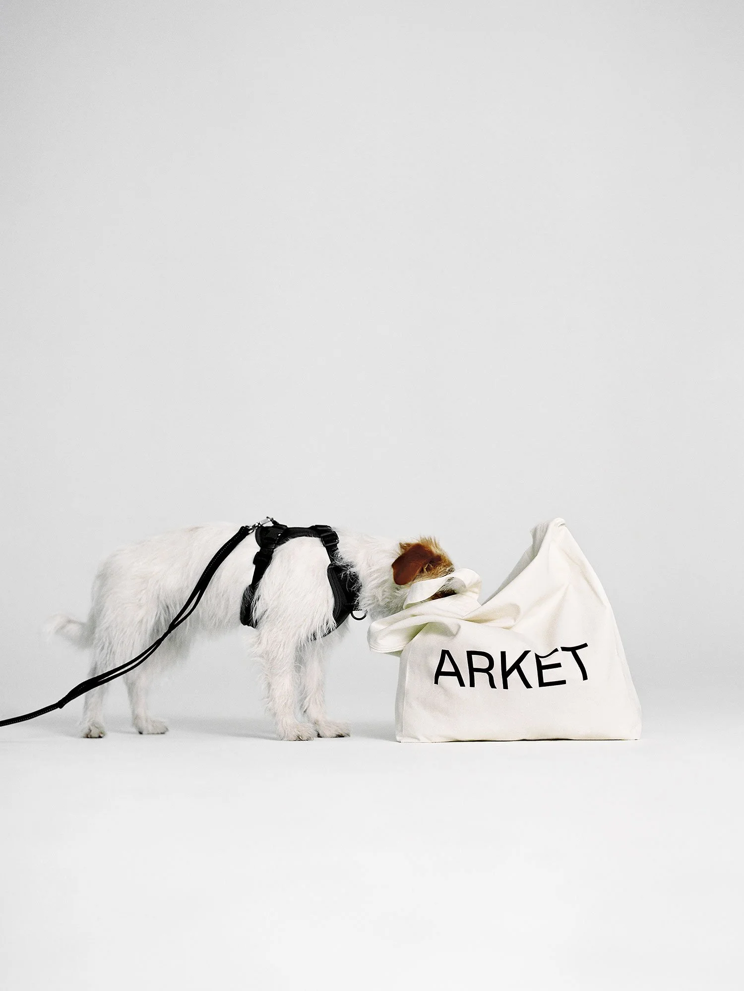 ARKET_22304_DOGS_13_PR.jpg