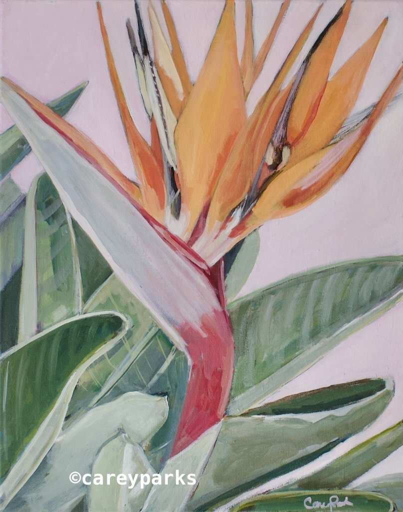 Bird of Paradise