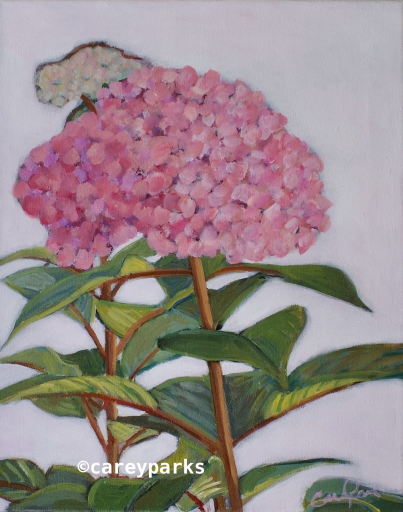 One Pink Bloom