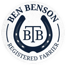 bbenson logo.png