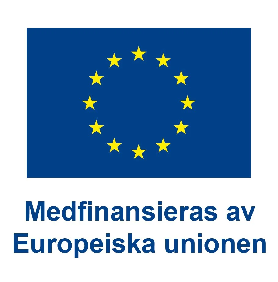 SV V Medfinansieras av Europeiska unionen_POS.jpg