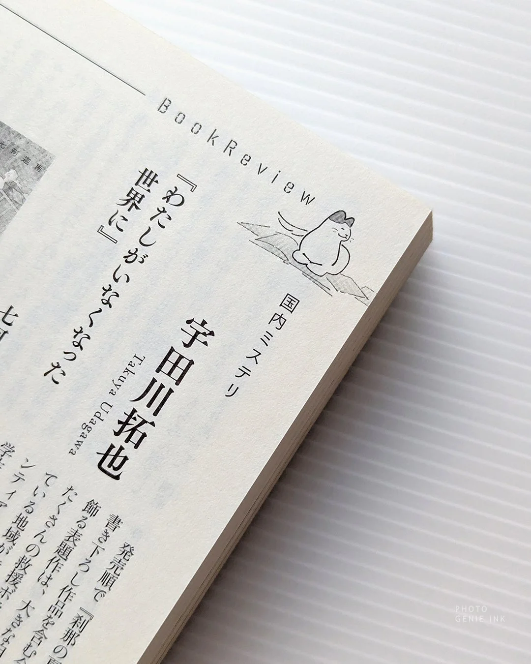 Genieink_IL_CO_Shimi27_cut1.jpg