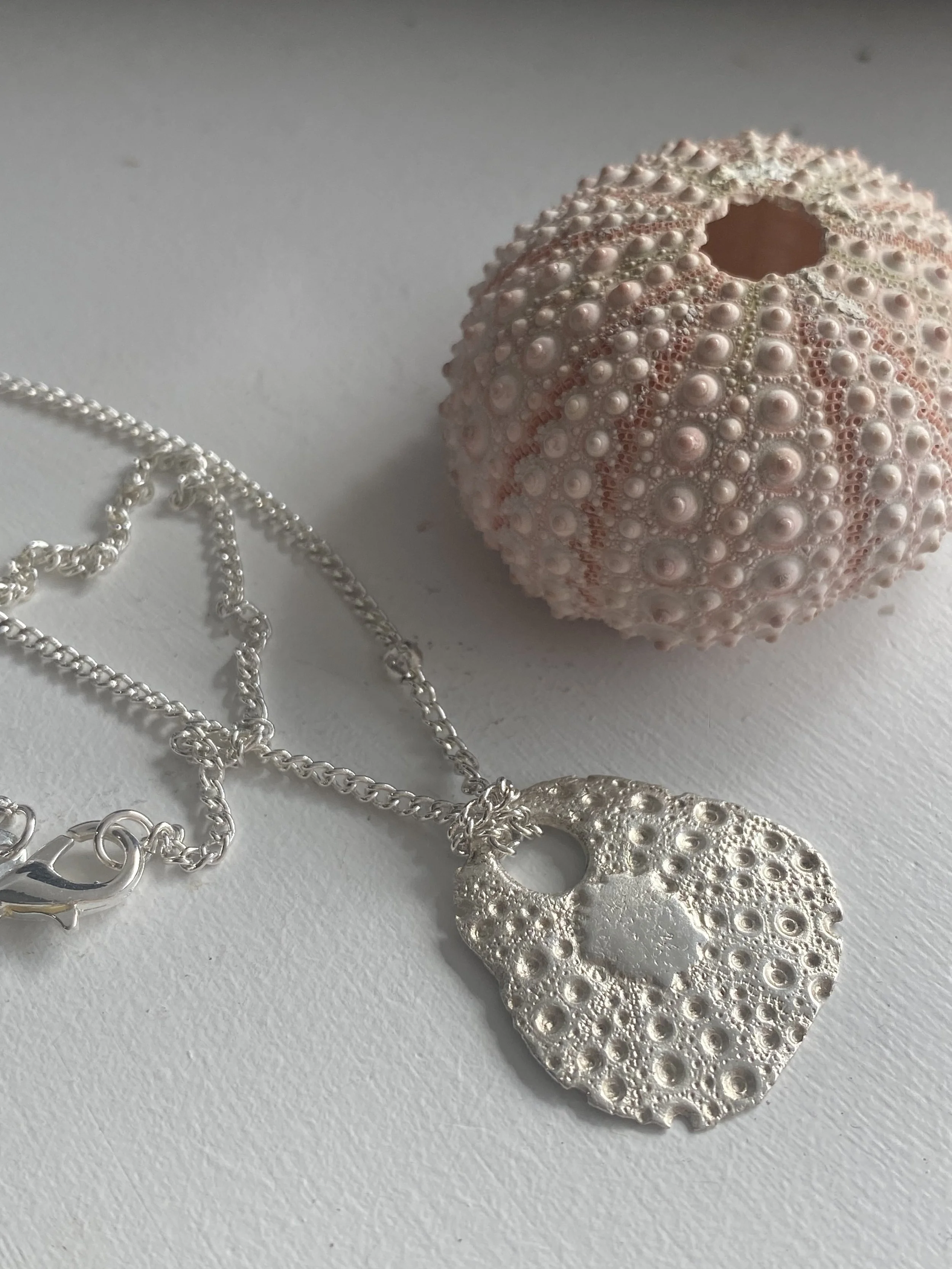sea urchin necklace.jpeg