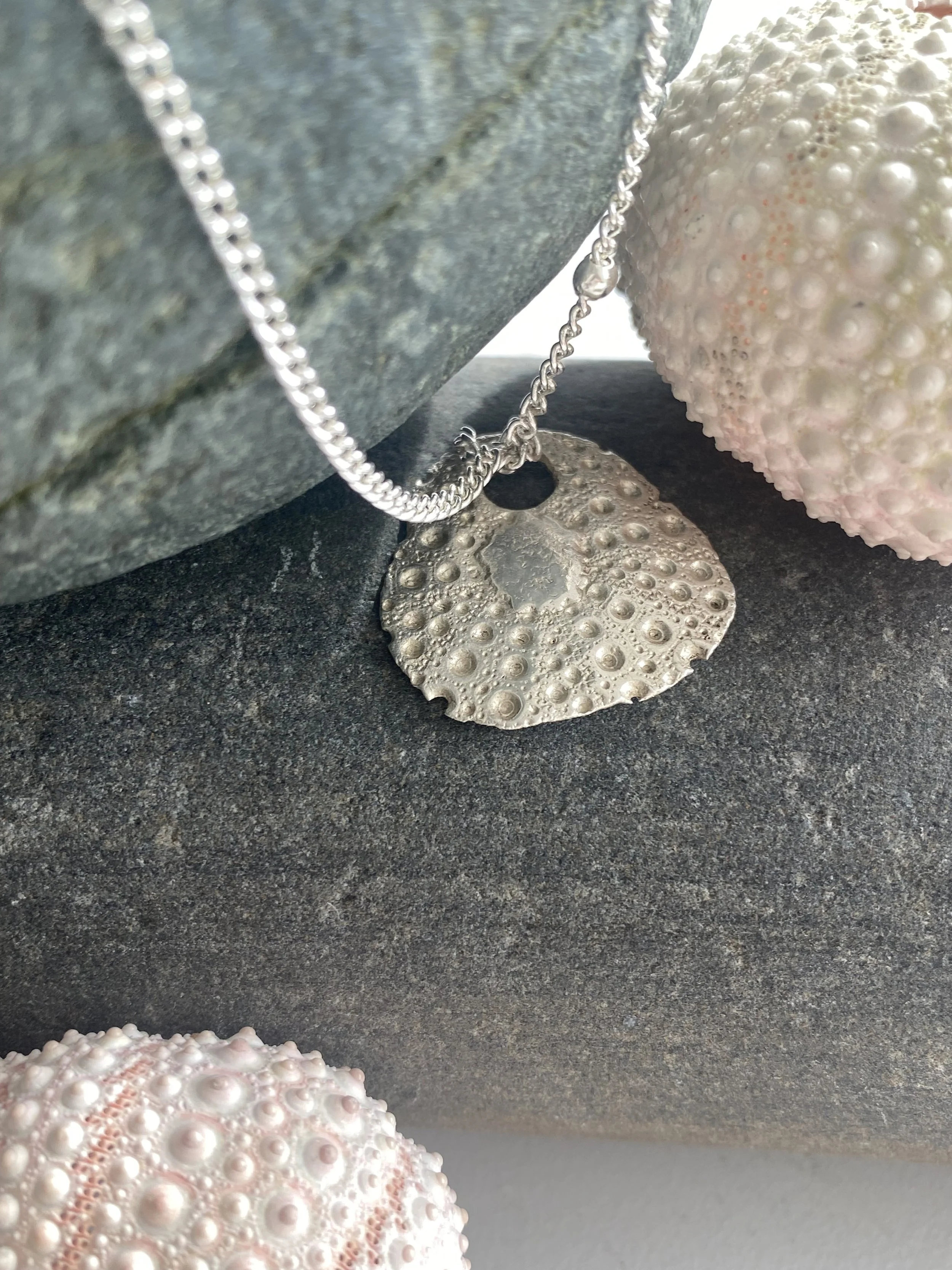 pure silver sea urchin.jpeg