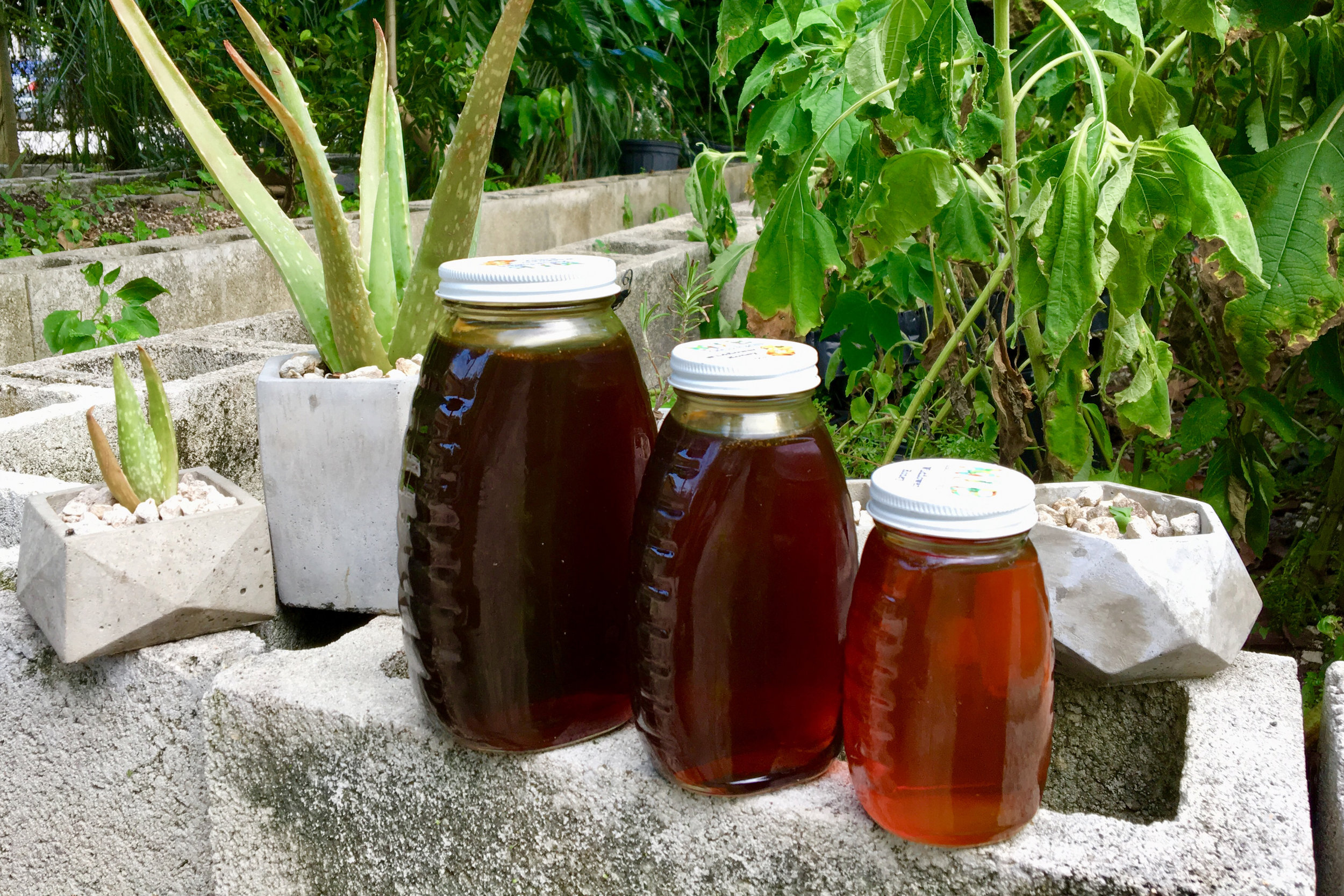 Local Honey