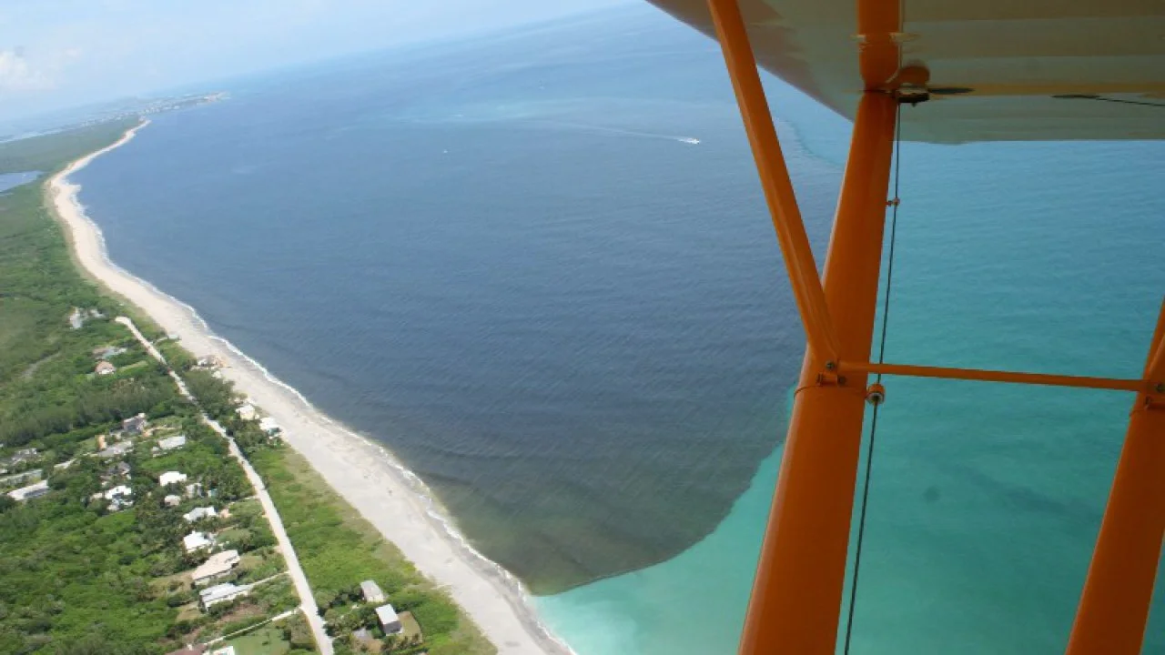 Florida Officials Drain Lake Full Of ‘Toilet’ Water To Coast