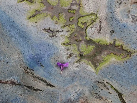 Too big to spray: Why algaeciding Lake Okeechobee just wouldn't work