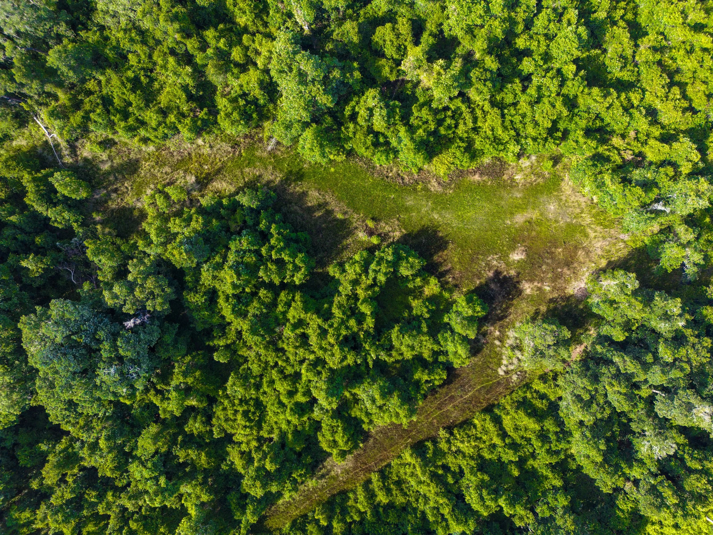 Report on Enforcement Efforts by the Florida Department of Environmental Protection (June 2021)