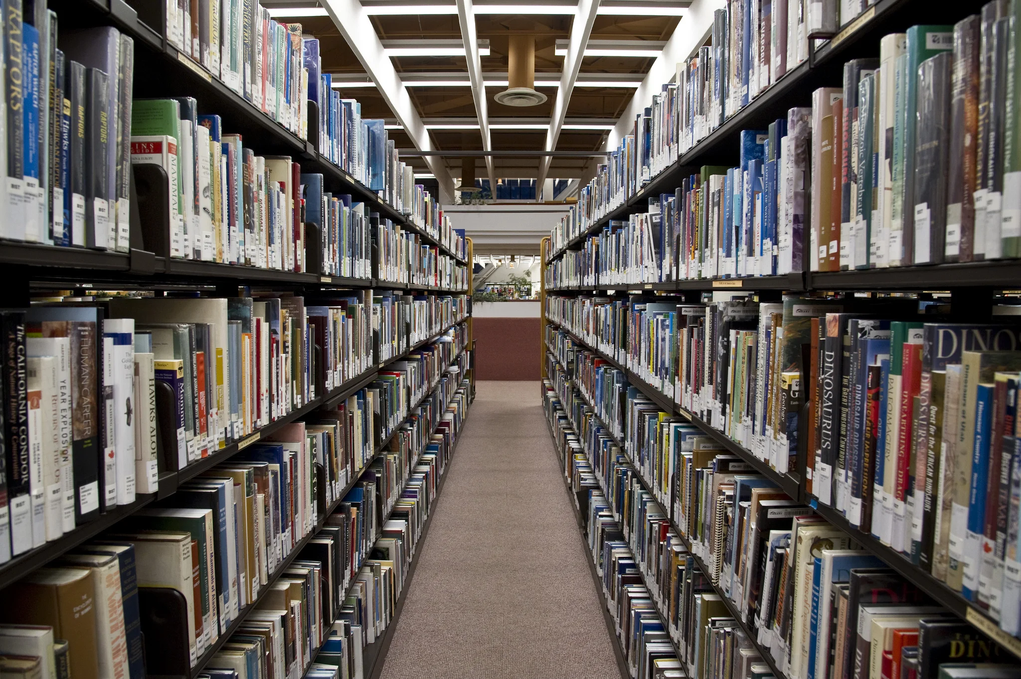 10056355054_ebac6d8b70_k.jpg