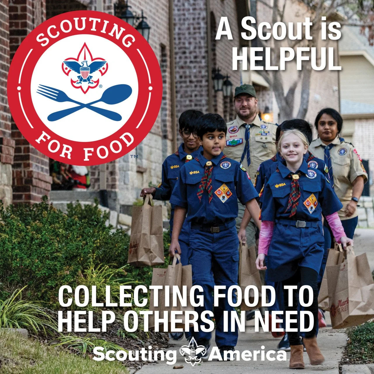 Scouting for Food - Flyers