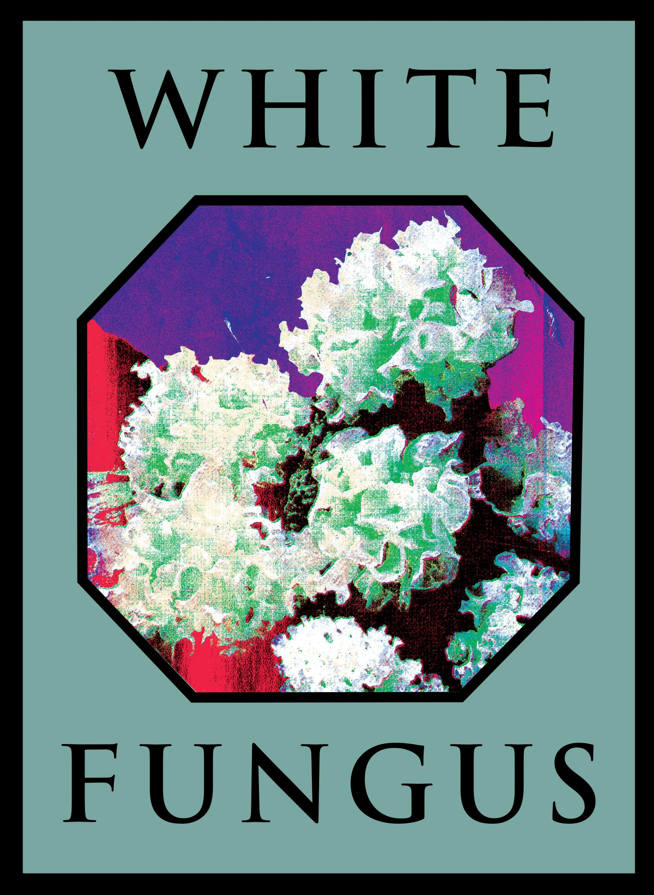 White Fungus Issue 16. January 2019. $10.00