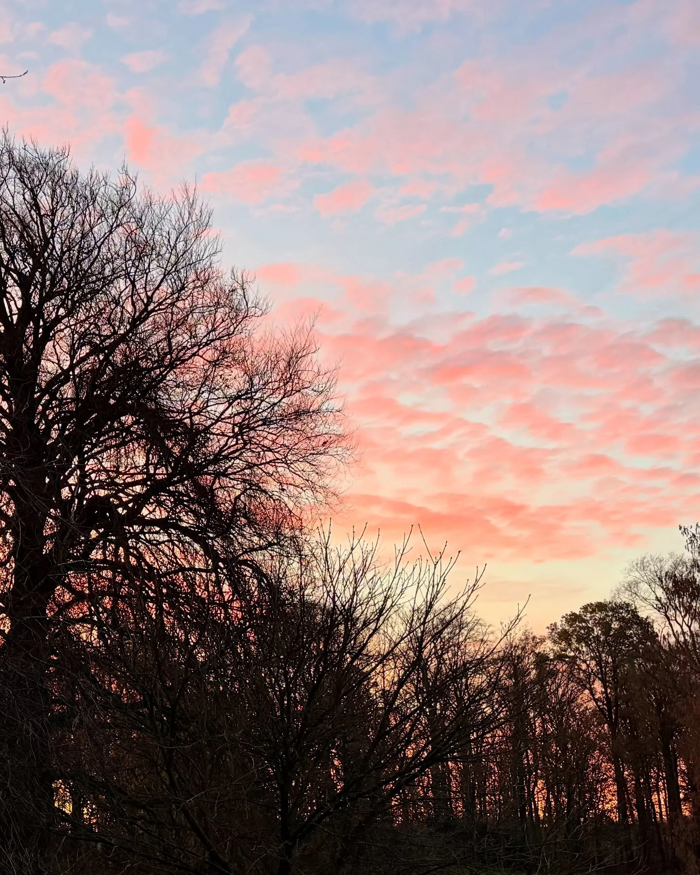 December invites me to slow down.
To retreat into a quieter rhythm.
To let the world soften at the edges.
In this gentle hibernation, I read a lot, explore different piano works, calmly letting a new program come together ✨
.
.
#irinalankova #classic