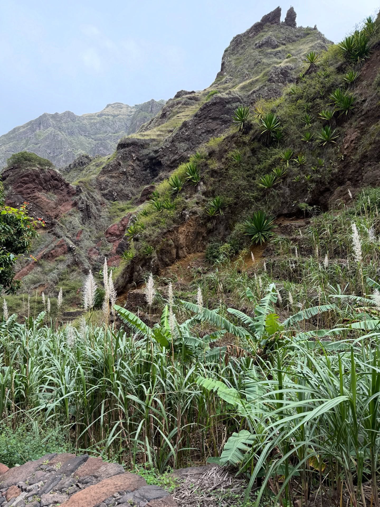 A joyful escape shared in friendship with my dear @laetisky in the midst of spectacular nature of Santo Ant&atilde;o: majestic and profoundly poetic island. Vertiginous mountains plunging into the ocean, green valleys of rare authenticity. 
Thanks fo