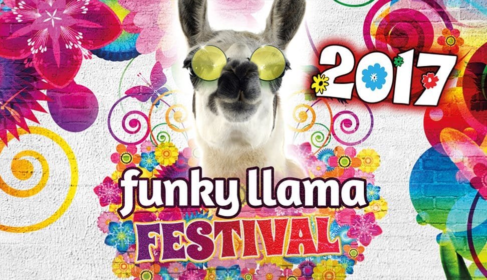 Funky Llama Festival (Assistant Stage Manager)