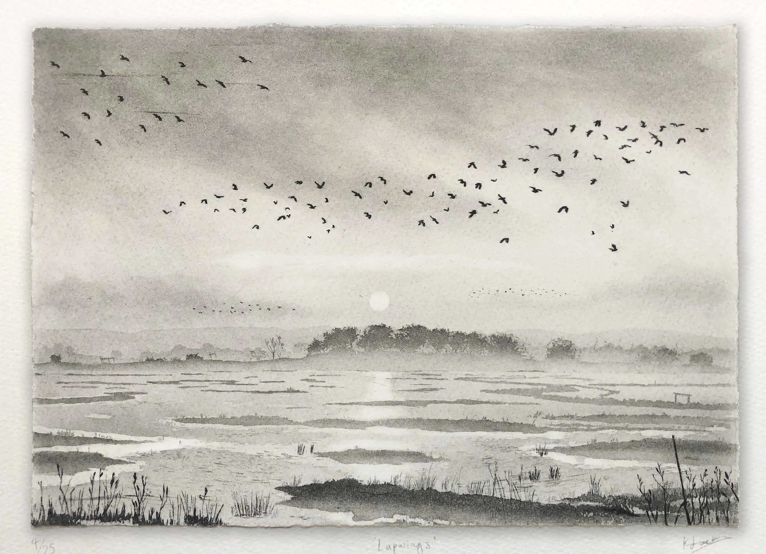 Lapwings large.jpg