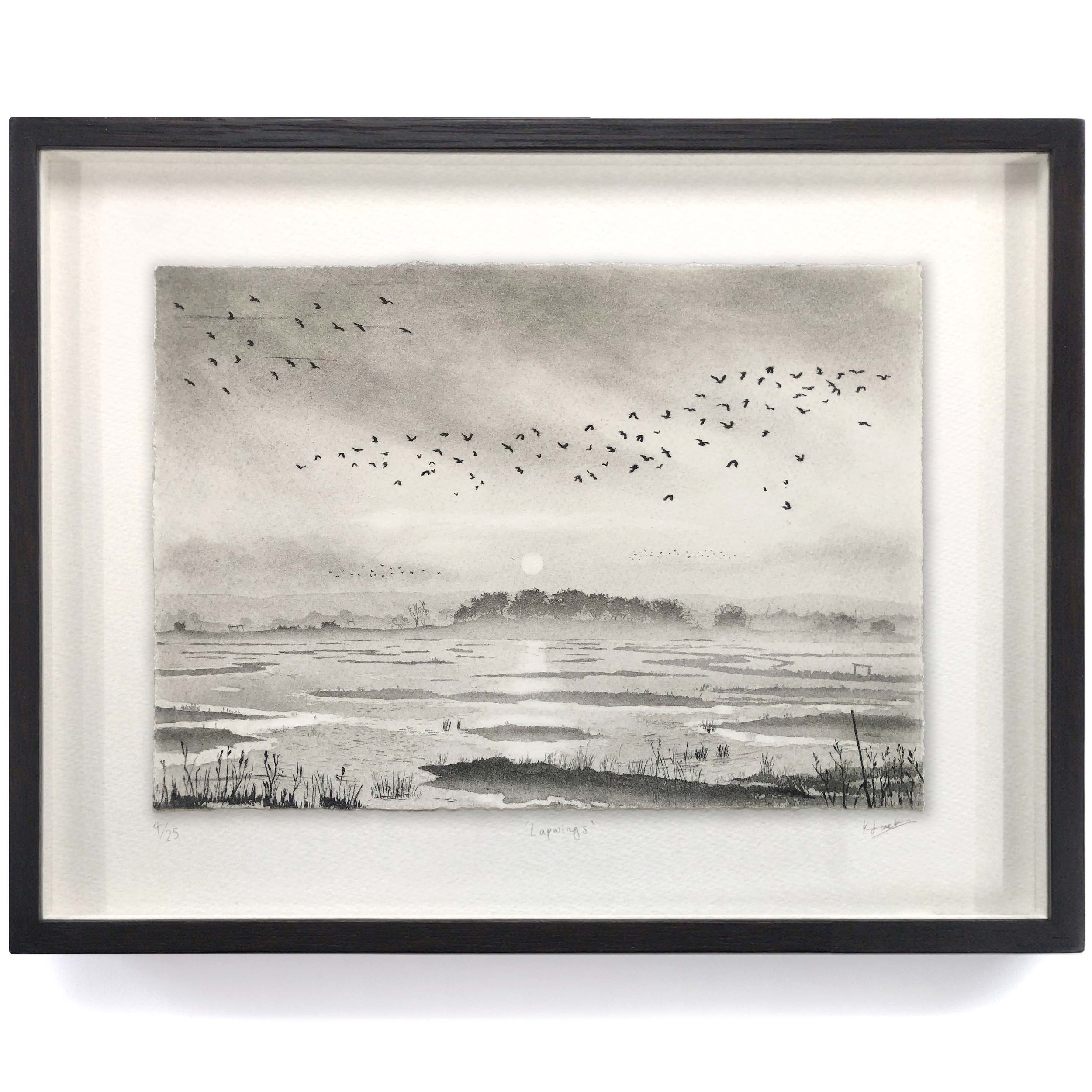 Lapwings tn.jpg