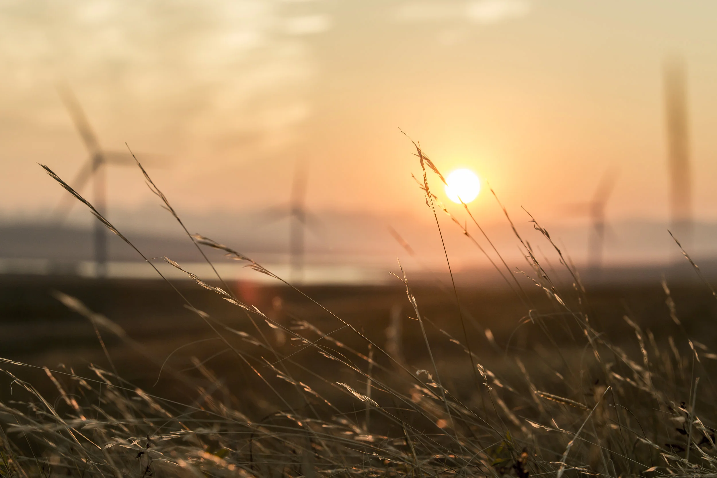 140917_KAP_244.jpg