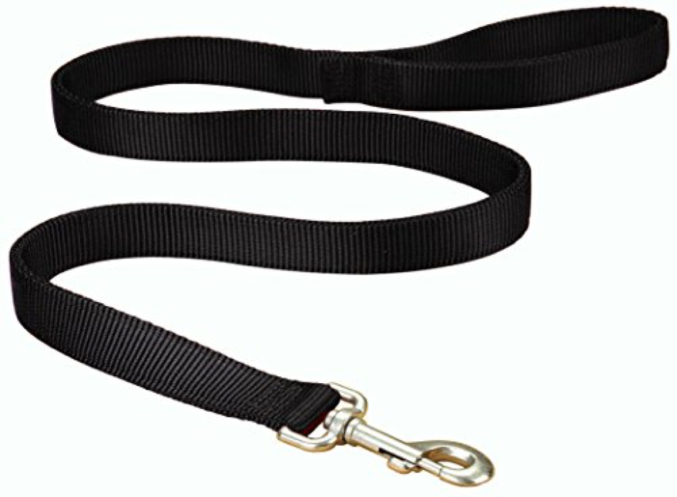 best type of leash for puppy